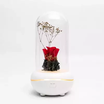 Glass dome with a red rose and dried flowers on an illuminated white diffuser base.