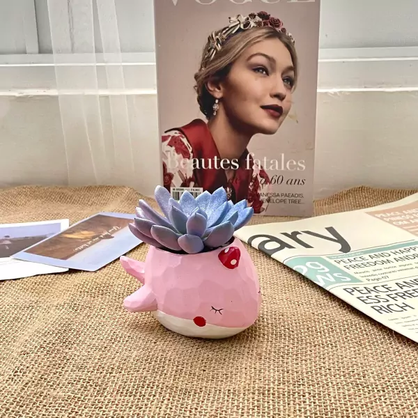 Cute pink whale planter holding a purple succulent, with a Vogue magazine in the background.