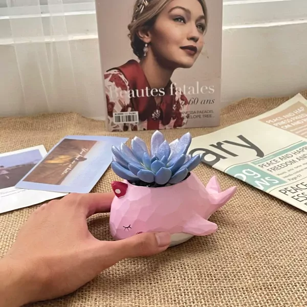 A hand holds a pink whale-shaped succulent planter with a blue succulent.