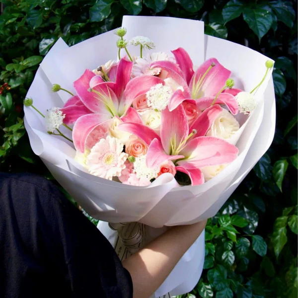 Ivory Lily - standard