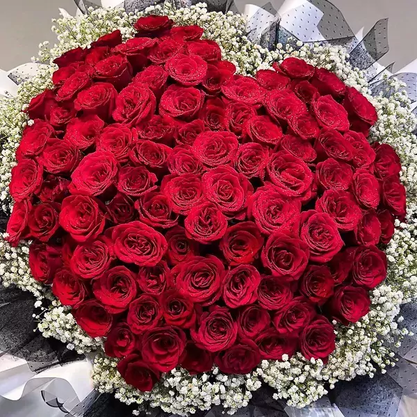A large bouquet of 101 deep red roses with baby's breath, wrapped in dark netting.