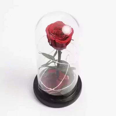 Đèn Hoa Hồng Beauty & The Beast - default