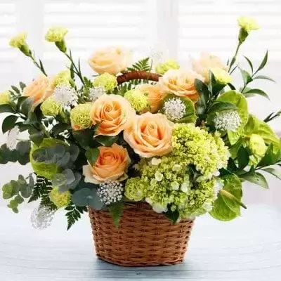 Basket of peach roses, green carnations, and hydrangeas.