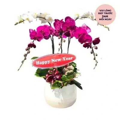 A pot of white and purple orchids with a "Happy New Year" sign.