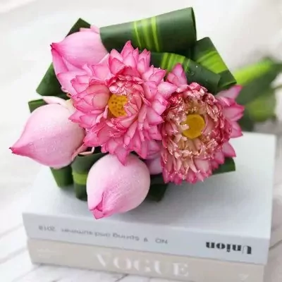 Pink lotus flowers and buds arranged with green leaves on top of books.