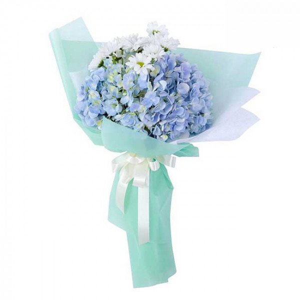 Blue hydrangeas and white daisies in a light green bouquet wrap, tied with a white ribbon.