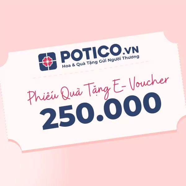 Gift voucher for 250,000 VND from Potico.vn with "Phiếu Quà Tặng E-Voucher" text.