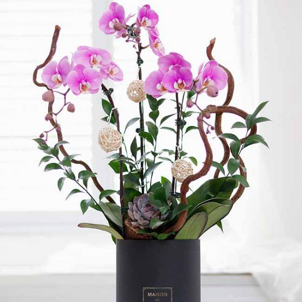 Purple orchids in a black box with decorative woven balls and branches.
