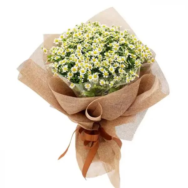 Bouquet of white and yellow chamomile flowers wrapped in burlap and tied with a brown ribbon.