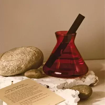 Minimal Mist Diffuser in a red glass bottle with a black reed diffuser stick and surrounding stones.
