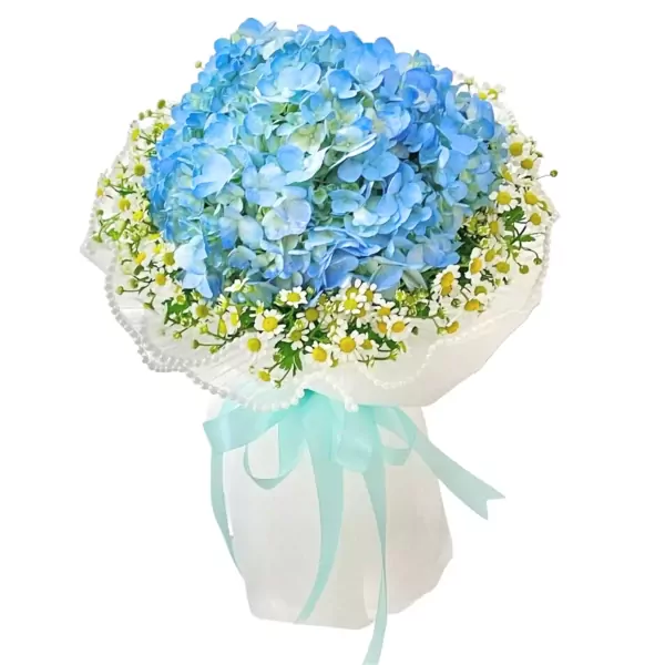Blue hydrangeas and white daisies in a bouquet, wrapped in white paper and tied with a light blue ribbon.