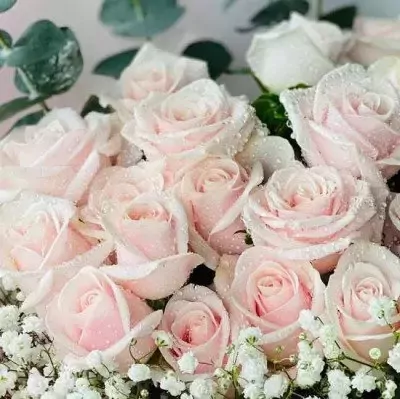 A bouquet of pale pink roses with water droplets and small white flowers.