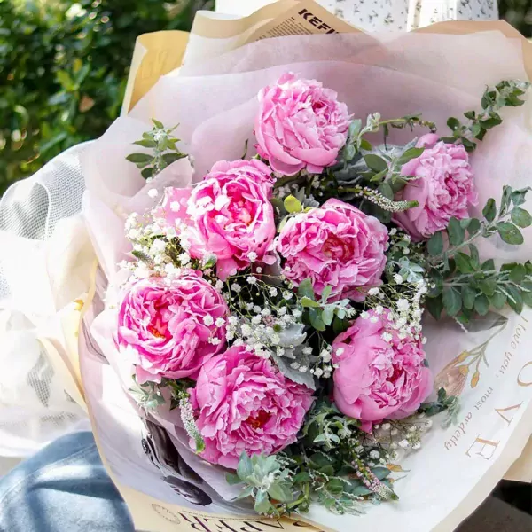 Pink peonies and baby's breath in a bouquet with green leaves.