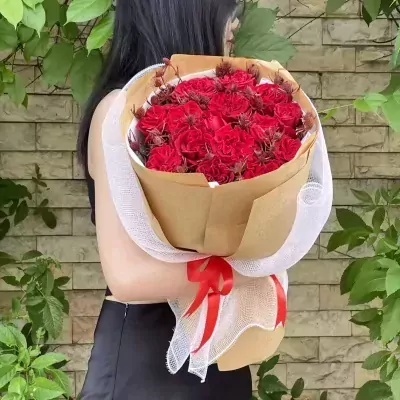 Syrah Nâng Cấp - Cơ Bản