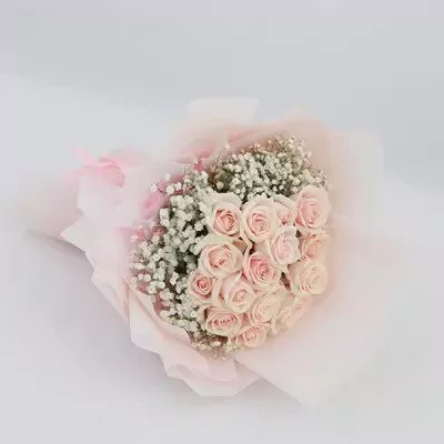 Pink roses and baby's breath in a light pink bouquet wrapper.