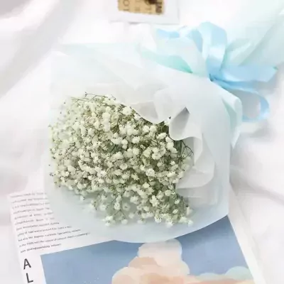 A bouquet of white baby's breath flowers wrapped in light blue and white paper, tied with a blue ribbon.