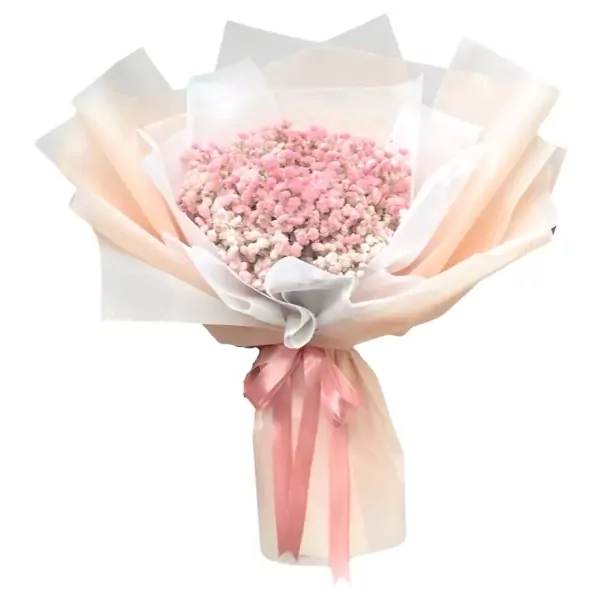 Pink baby's breath flowers wrapped in pale pink and white paper with a pink ribbon.