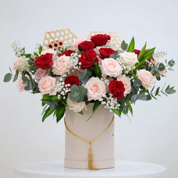 Box of red and cream roses with delicate white filler flowers and greenery.