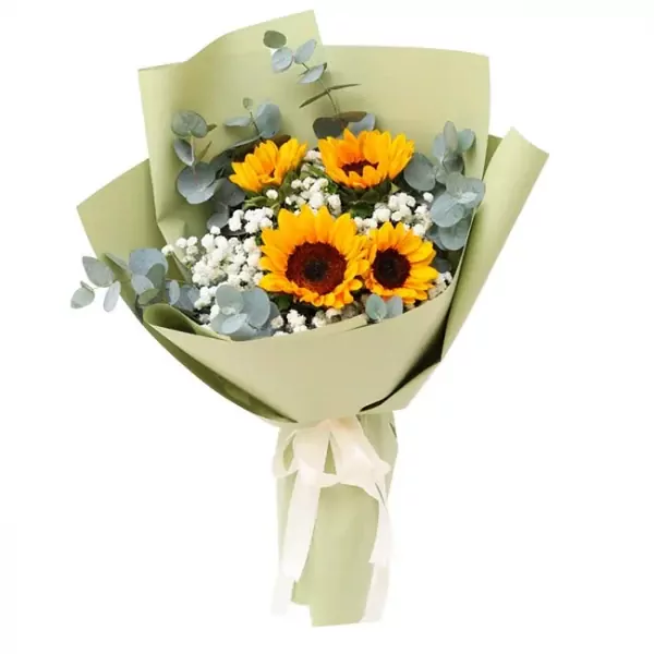 Bouquet of sunflowers and baby's breath in pale green paper wrap with white ribbon.