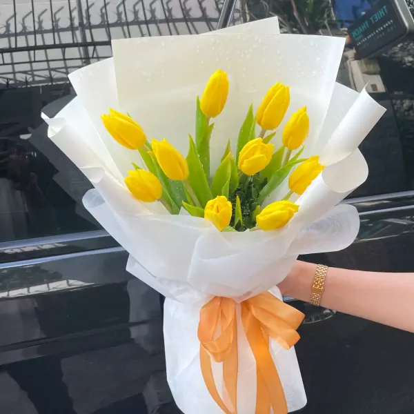 Bouquet of 10 yellow tulips in white paper wrapping with an orange ribbon.