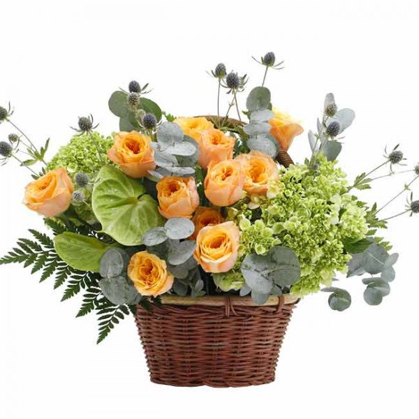 Basket of peach roses, green hydrangea, and eucalyptus with thistles.