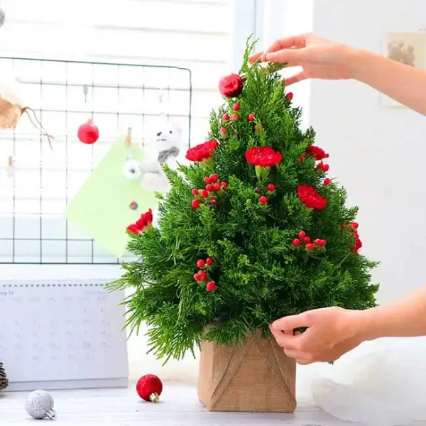 Small Christmas tree with red carnations and berries in a burlap pot.