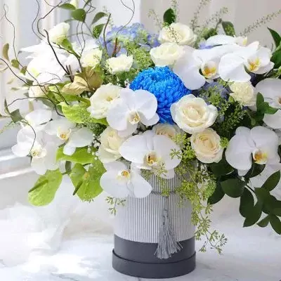 White orchids, roses, and blue chrysanthemums in a striped hatbox.
