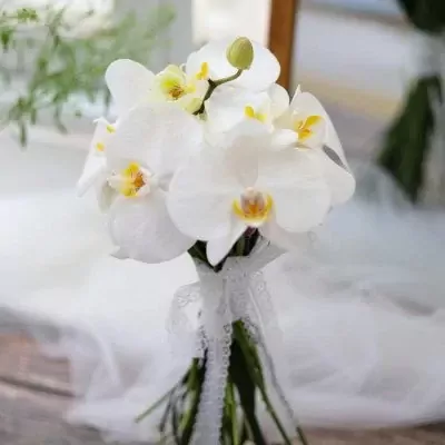 White orchids and roses bouquet tied with white lace ribbon.