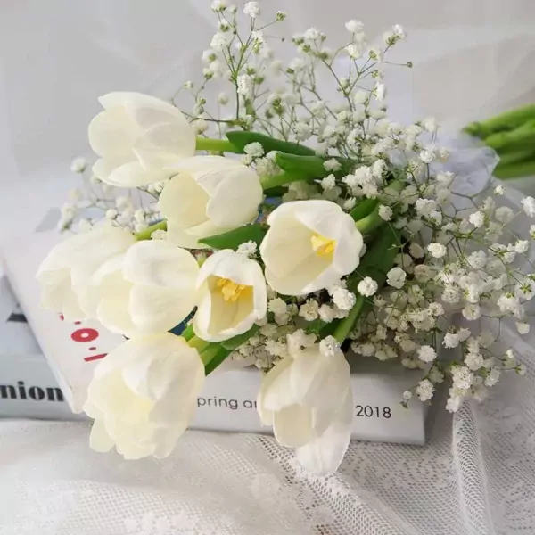 Tulip hoa cưới - ảnh 4