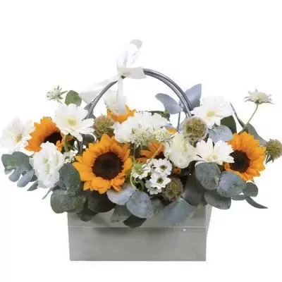 Giỏ Hướng Dương đồng tiền