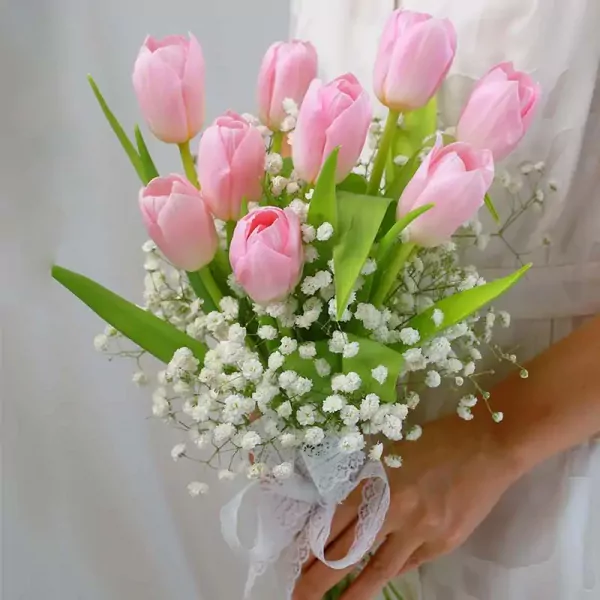 Tulip hoa cưới