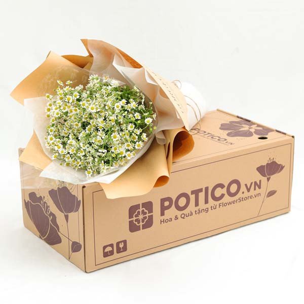 Bouquet of white daisies in brown and white paper on a cardboard box with "POTICO.VN" logo.