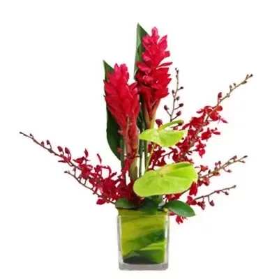 Red ginger flowers, pink anthurium, and red orchids in a square vase.