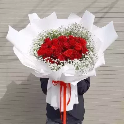 Bouquet of red roses with baby's breath, wrapped in white paper and tied with red ribbon.