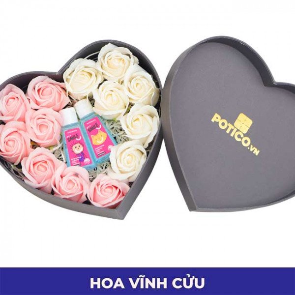 cơ bản