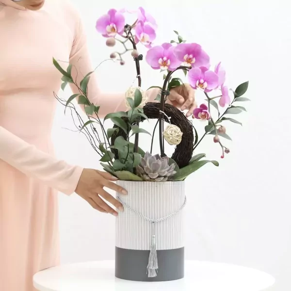 A beautiful orchid arrangement in a striped box with a tassel.