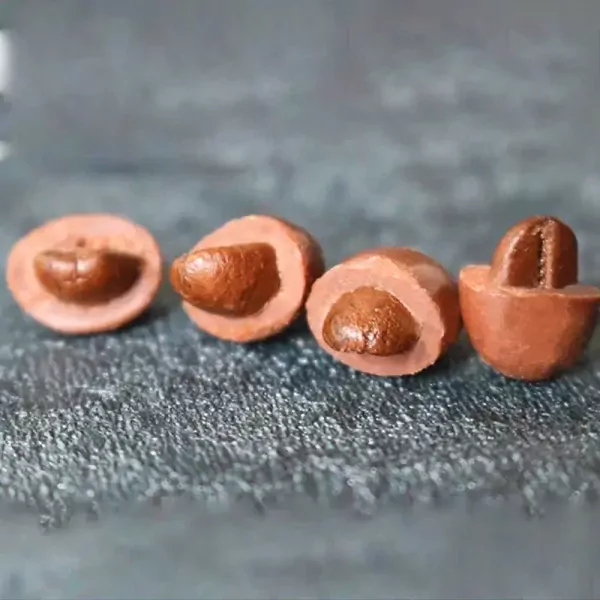 Socola Bọc Cafe