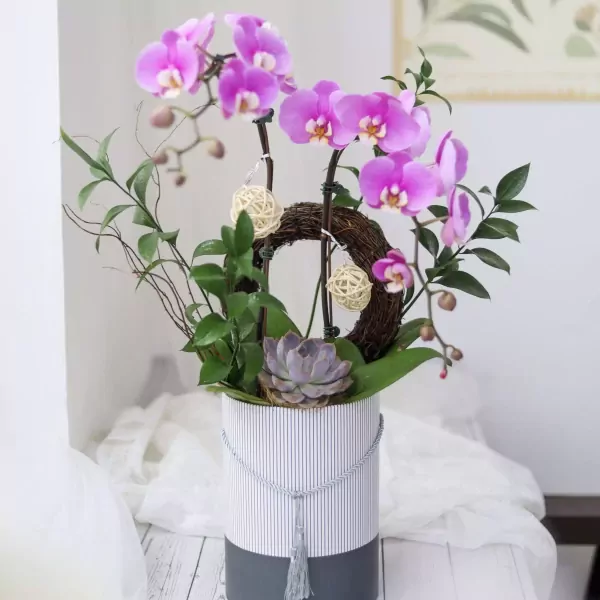 Hộp Lan hồi ức - ảnh 2