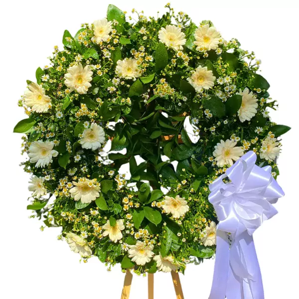 Wreath of white gerbera daisies and baby's breath with a white ribbon.