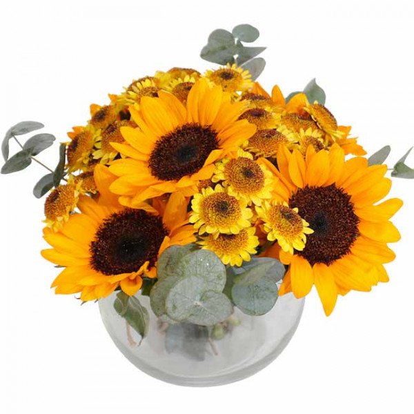Vase of sunflowers and yellow chrysanthemums with eucalyptus.