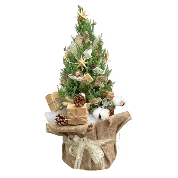 Small decorated pine tree with gold stars, pinecones, and gift boxes in burlap pot.