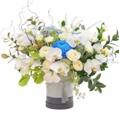 Elegant flower box with white orchids, roses, blue chrysanthemum, and greenery.