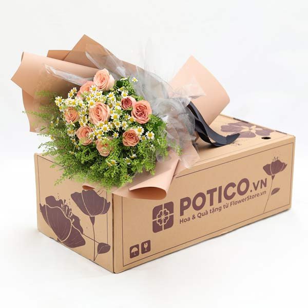 Pink roses and daisies in a box with "POTICO.VN" logo.