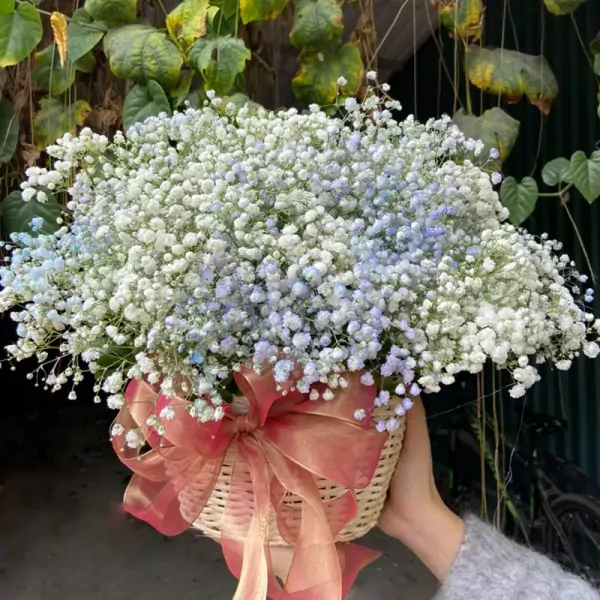 Basket of white and light blue baby's breath flowers with a rustic ribbon.