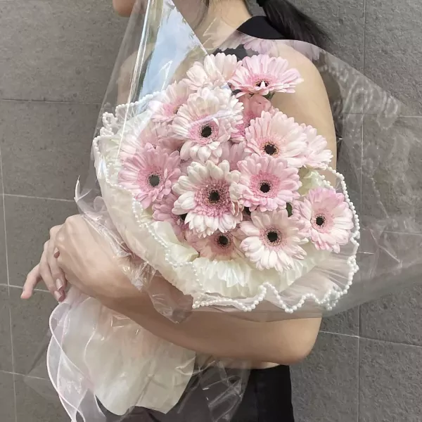 A bouquet of pink gerbera daisies in cellophane wrap, held by a person.