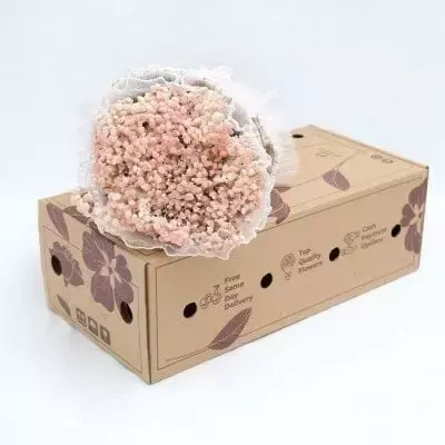Pink baby's breath bouquet in a box with flowers and text.