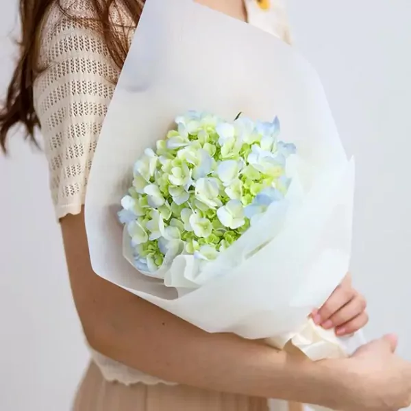 Woman holding a bouquet of blue and green hydrangeas wrapped in white paper.