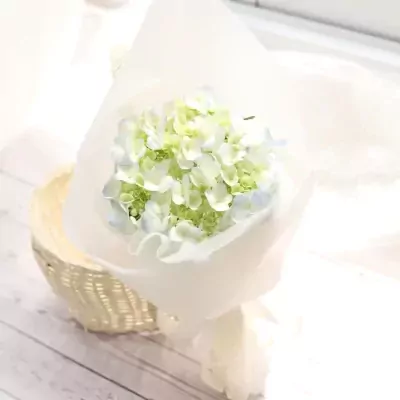 A delicate bouquet of white and green hydrangeas wrapped in white paper, resting in a wicker basket.