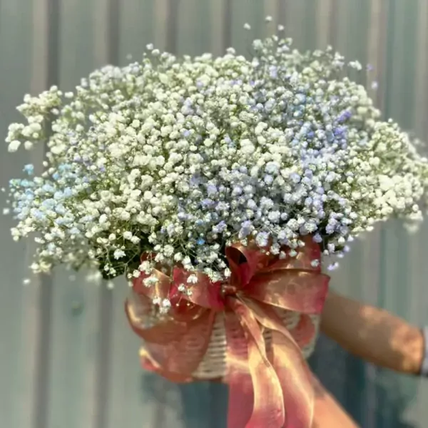 A basket of white baby's breath flowers tied with a pink ribbon.