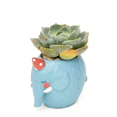 Blue elephant planter with a succulent plant and red and white polka dot decorations.